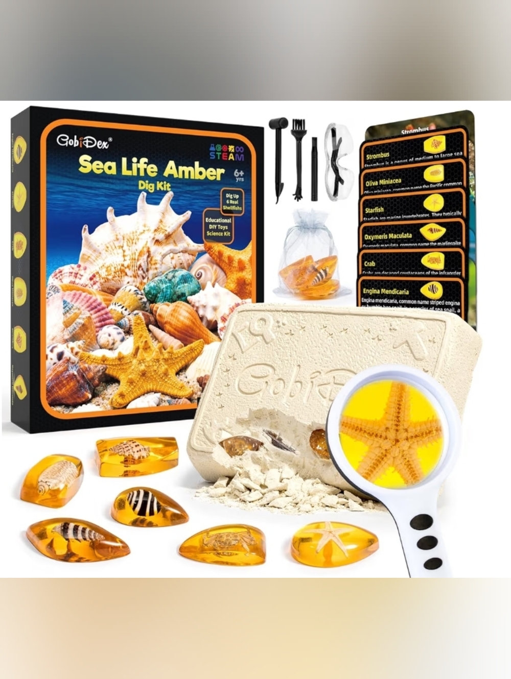 Sea Life Amber Dig Kit - Picture 2 of 3